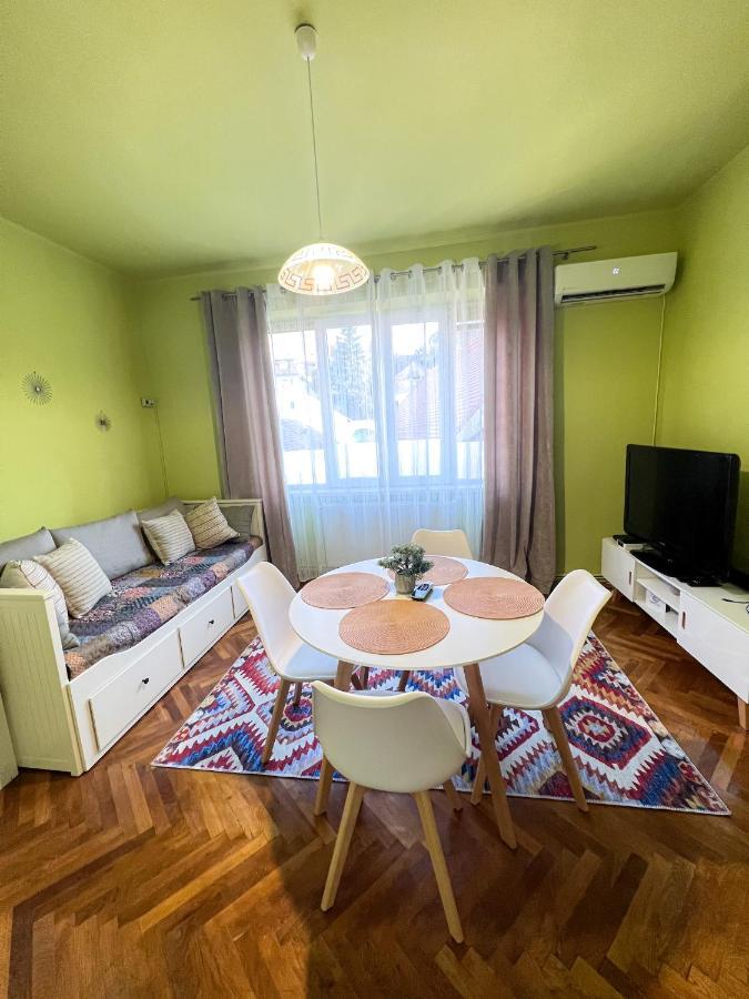 Noni'S Old Town Apartment Сибиу Экстерьер фото