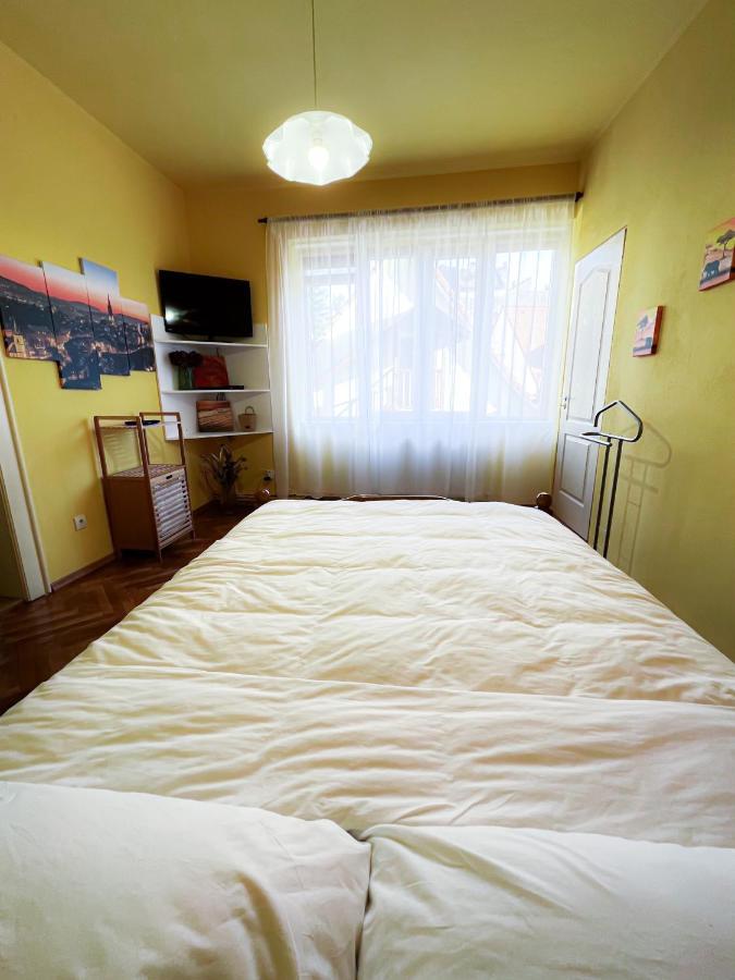 Noni'S Old Town Apartment Сибиу Экстерьер фото